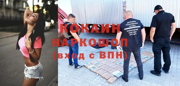 гашик Корсаков