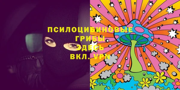 спайс Алексин