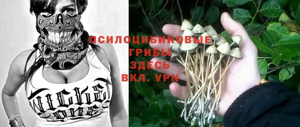 бошки Алзамай